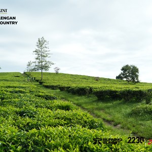 Race photo from PANGALENGAN CROSS-COUNTRY