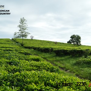 Race photo from PANGALENGAN CROSS-COUNTRY