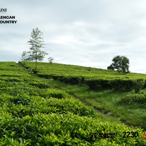 Race photo from PANGALENGAN CROSS-COUNTRY