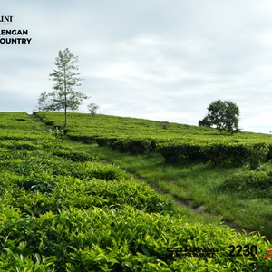 Race photo from PANGALENGAN CROSS-COUNTRY