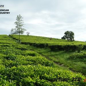 Race photo from PANGALENGAN CROSS-COUNTRY