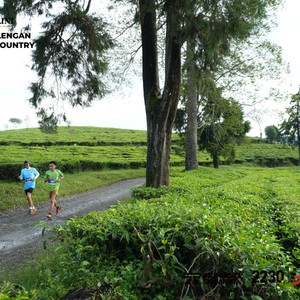 Race photo from PANGALENGAN CROSS-COUNTRY