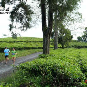 Race photo from PANGALENGAN CROSS-COUNTRY