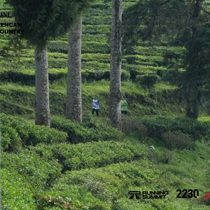 Race photo from PANGALENGAN CROSS-COUNTRY