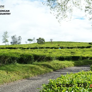 Race photo from PANGALENGAN CROSS-COUNTRY