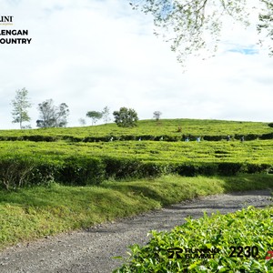 Race photo from PANGALENGAN CROSS-COUNTRY