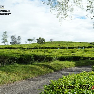 Race photo from PANGALENGAN CROSS-COUNTRY