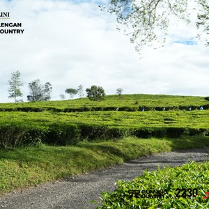 Race photo from PANGALENGAN CROSS-COUNTRY