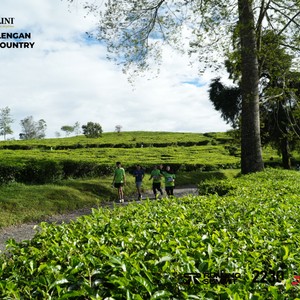 Race photo from PANGALENGAN CROSS-COUNTRY