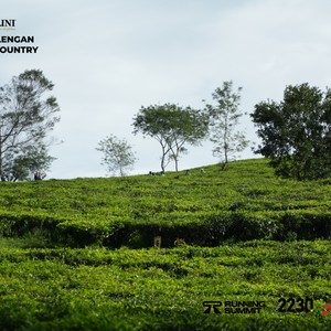 Race photo from PANGALENGAN CROSS-COUNTRY