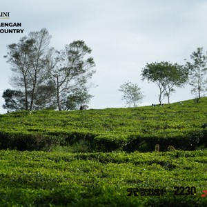 Race photo from PANGALENGAN CROSS-COUNTRY