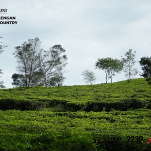Race photo from PANGALENGAN CROSS-COUNTRY