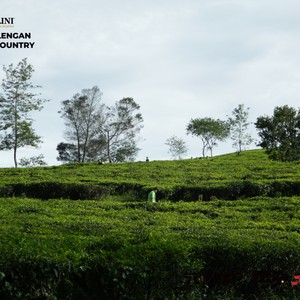 Race photo from PANGALENGAN CROSS-COUNTRY