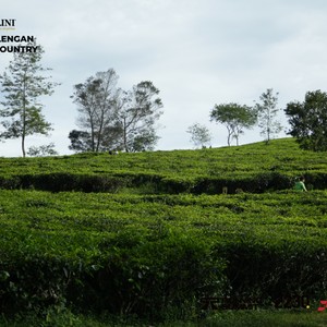 Race photo from PANGALENGAN CROSS-COUNTRY
