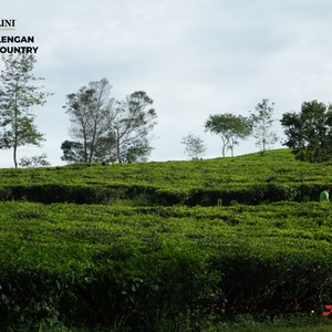 Race photo from PANGALENGAN CROSS-COUNTRY