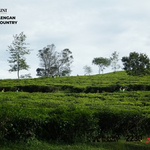 Race photo from PANGALENGAN CROSS-COUNTRY
