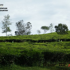 Race photo from PANGALENGAN CROSS-COUNTRY