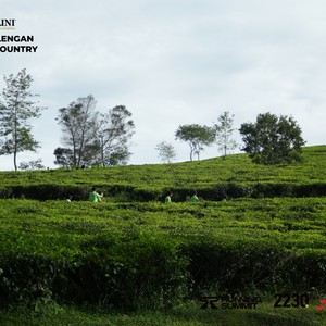 Race photo from PANGALENGAN CROSS-COUNTRY