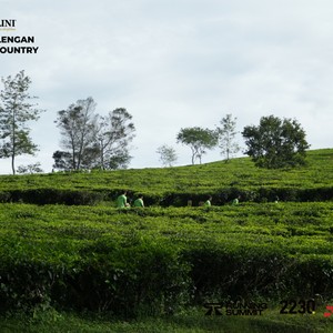 Race photo from PANGALENGAN CROSS-COUNTRY