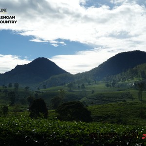 Race photo from PANGALENGAN CROSS-COUNTRY