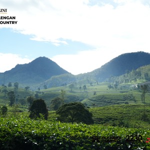 Race photo from PANGALENGAN CROSS-COUNTRY