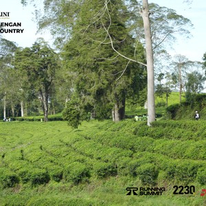 Race photo from PANGALENGAN CROSS-COUNTRY