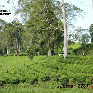 Race photo from PANGALENGAN CROSS-COUNTRY