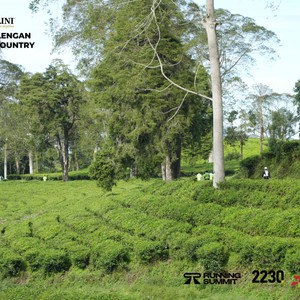 Race photo from PANGALENGAN CROSS-COUNTRY