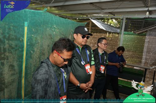 Race photo from Telin Batic 2024 Photo Search