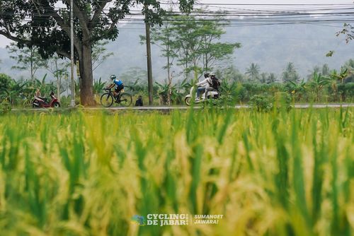 Race photo from Cycling de Jabar 2024