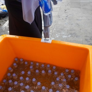 Race photo from NSRC  XIII  02112025