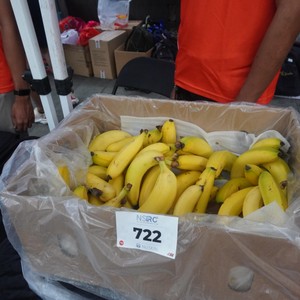 Race photo from NSRC XIV 16112025