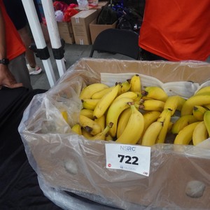 Race photo from NSRC XIV 16112025