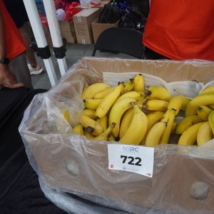 Race photo from NSRC XIV 16112025