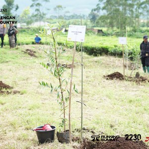 Race photo from PANGALENGAN CROSS-COUNTRY