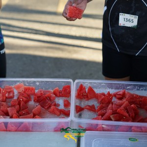 Race photo from VIBES AND STRENGTH CAMP ABR 2025