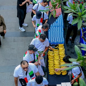 Race photo from WALK FOR PALESTINE