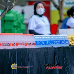 Race photo from WALK FOR PALESTINE