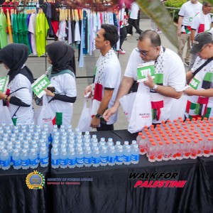 Race photo from WALK FOR PALESTINE