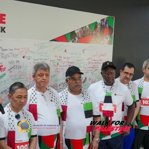 Race photo from WALK FOR PALESTINE