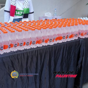 Race photo from WALK FOR PALESTINE