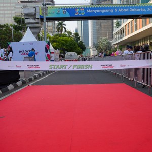 Race photo from WALK FOR PALESTINE