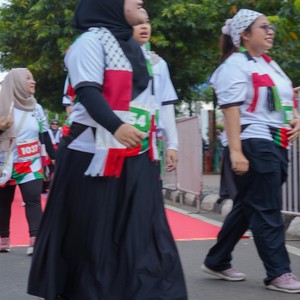 Race photo from WALK FOR PALESTINE